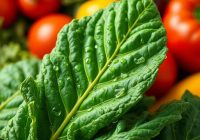 Jarmuż – superfood pełen zdrowotnych korzyści i przeciwskazań